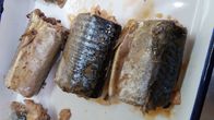 L'UE a certifié les poissons en boîte par maquereau au coeur élevé Omega saine - 3 acides gras de saumure