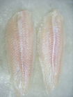 Pangasius congelé par poissons congelé en vrac délicieux ceignent d'un bandeau/poissons de Basa du Vietnam