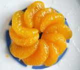 Jaunissez la forme en boîte de tranche de mandarines en sirop léger/lourd