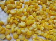 L'usine en boîte non GMO de maïs a mis en boîte le maïs en boîte par maïs en étain A10