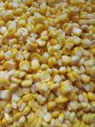 Le vide naturel chinois de nourriture a mis en boîte le maïs