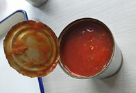 425g a étamé les poissons Pacifiques de maquereau dans des PCs de la sauce tomate 3-5