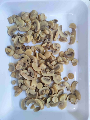 Les 10,2 kilogrammes frais ont mis en boîte le champignon de champignon de paris cultivé