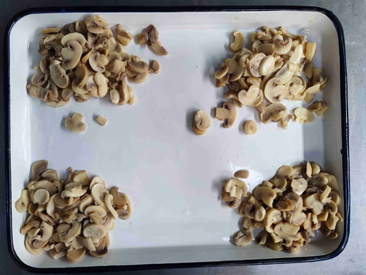 24 mois Durée de conservation Produit de champignon en conserve