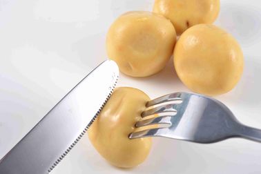 champignon en boîte pur de champignon de paris de la saveur 400g naturelle