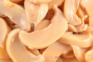 Champignon en boîte nutritif de champignon de paris/saveur salée en boîte entière de champignons
