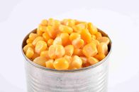 Noyau en boîte par jaune d'or de maïs avec le couvercle ouvert facile HACCP approuvé