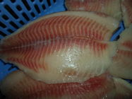 Fruits de mer congelés frais d'origine de la Thaïlande/filet de Tilapia de poissons congelé par volume