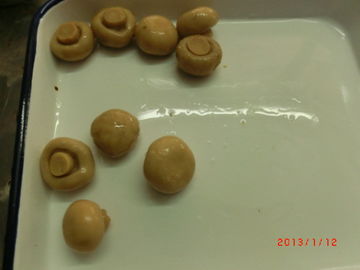 Champignon de champignon de paris en boîte par forme entière avec le délai d'exécution riche de short de nutrition