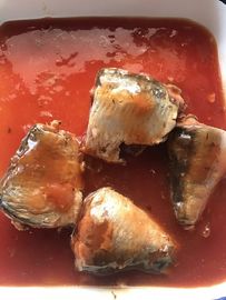 Poissons en boîte les plus sains étroitement emballés, sardines bidon en sauce tomate