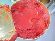 La sauce tomate fraîche de mise en boîte, sauce tomate peut stérilisation commerciale