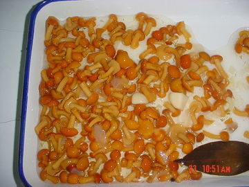 Champignon entier de Nameko mettant en boîte les légumes frais dans la taille multi salée de goût de pot