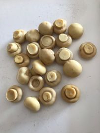 190g a mis en boîte le champignon commun de Cultivatea entier/rapièce et refoule