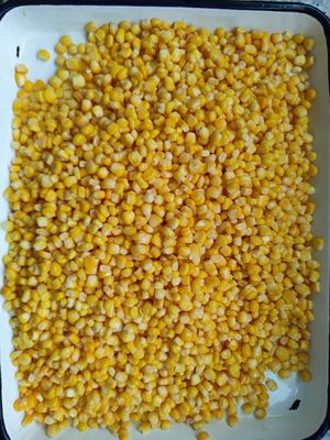 Poids net égoutté 1800 G Maïs doux en conserve Couvercle dur à ouvrir Grains de maïs en conserve adaptés aux restaurants et à la transformation alimentaire