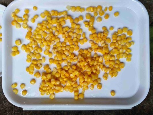 Maïs jaune en conserve super sucré délicieux sélectionné manuellement