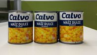 La marque de Calvo a mis en boîte le poids net 241g de Maiz Dulze de maïs pour l'Amérique Centrale