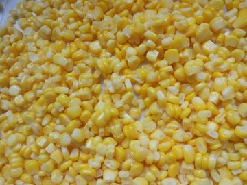 Du maïs doux conservé en boîte naturel frais de noyau de la Chine dans 340g