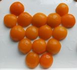 Moitiés en boîte libres d'abricot de cholestérol avec des sucres 17g