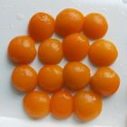 L'abricot conservé divise en deux 0mg la graisse de total de la protéine 0g du cholestérol 1g