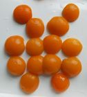 moitiés d'abricot en boîte par 2650ml en sirop léger Sun d'or