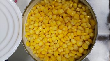 6/A10 maïs en boîte grand par étain 2840g