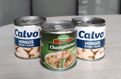 Champignon en boîte salé de champignon de paris de conservation de saumure