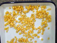 La culture 425g de FDA GMO a mis en boîte des noyaux de maïs