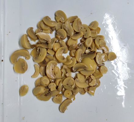 Le champignon de paris de nourriture en boîte répandent frais et délicieux tout préparés