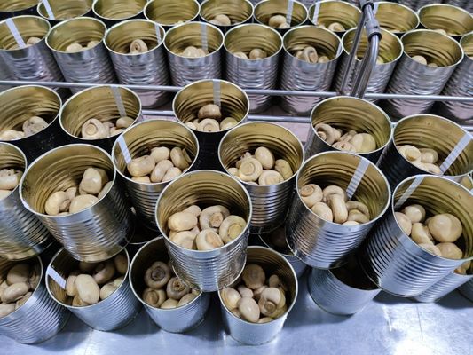 400g / 425g a mis en boîte les champignons chinois en boîte par champignon entier