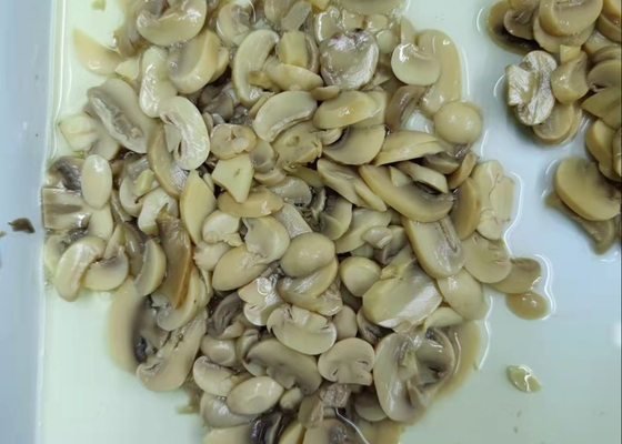 Les diverses caractéristiques ont mis en boîte les champignons coupés en tranches