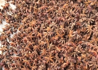 Nouvelle culture Autumn Star Anise Seeds Natural