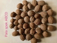 Myristica Fragrans de noix de muscade avec ou sans Shell From Indonesia