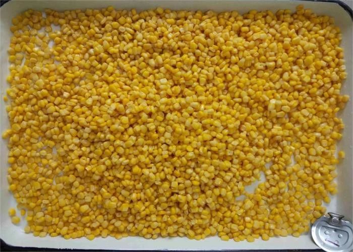 Maïs doux en conserve de grade A, maïs doux en conserve en 90g, 184g, 340g, 425g. Parfait pour la restauration, la production alimentaire et le commerce.