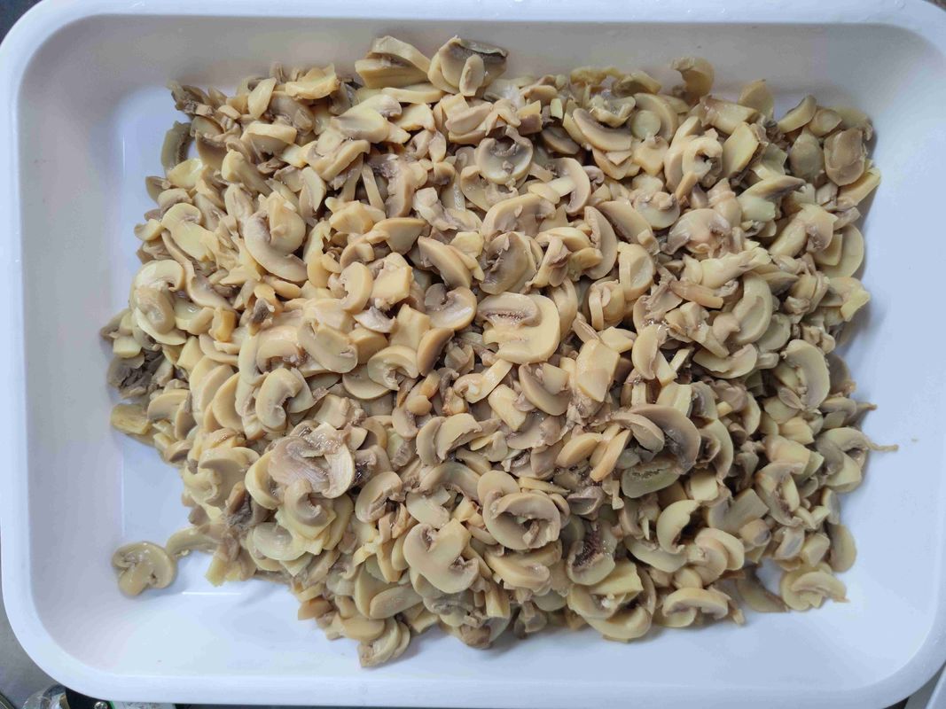 Champignons conservés moyens en conserve, emballage en vrac adapté à la restauration et aux professionnels de la cuisine