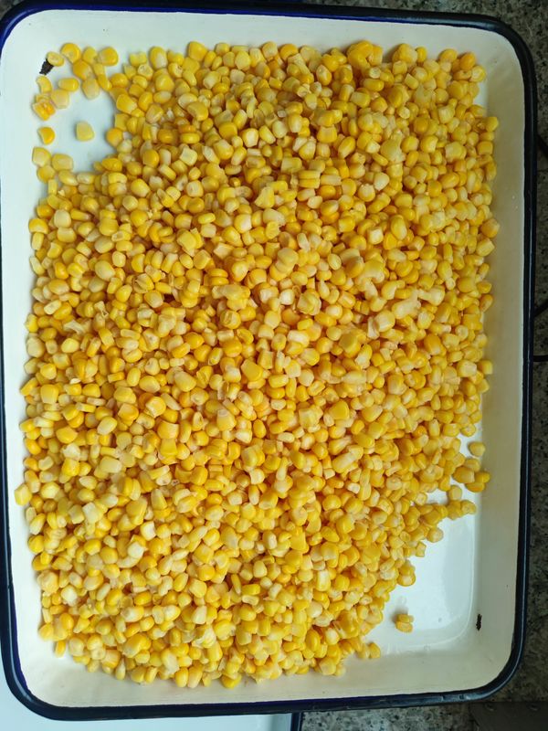 Maïs doux en conserve assaisonné pour les marchés de campagne, fruits et champignons