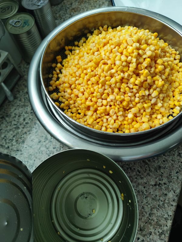 Maïs doux en conserve : les grains de maïs en conserve parfaits pour votre entreprise