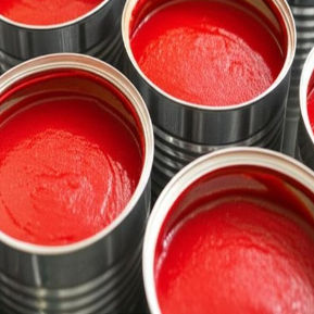 Magasin de sauce tomate en conserve pratique pour les cuisiniers occupés et soucieux de leur santé