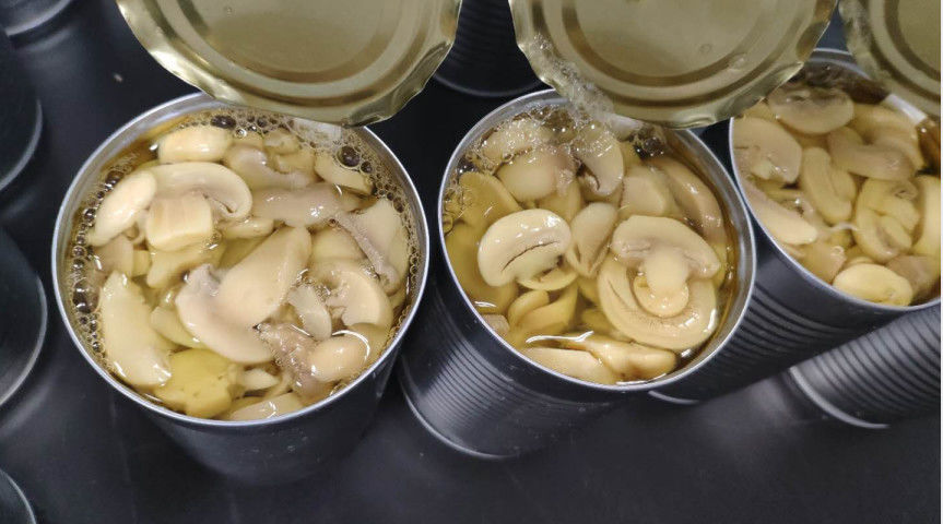 Champignon Champignon en conserve Champignon Champignon Salinité 0,6-1,3 % Conserver dans un endroit frais et sec Parfait pour la transformation alimentaire