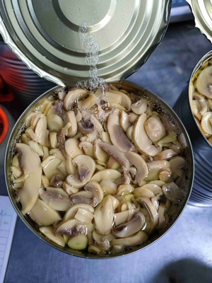 Le champignon de champignon de paris en boîte par saveur originale refroidissent et sèchent le stockage pH 4.5-6.5