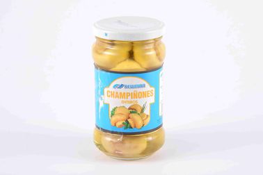 Une matière première décrite par champignon en boîte par catégorie de champignon de paris 3 ans de durée de conservation