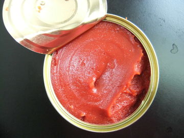 Purée de tomates en conserve certifiée ISO avec sel, ingrédients sans OGM