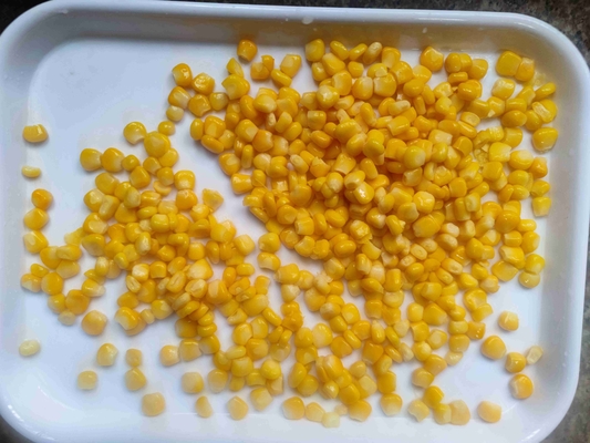 Céréales de maïs en conserve