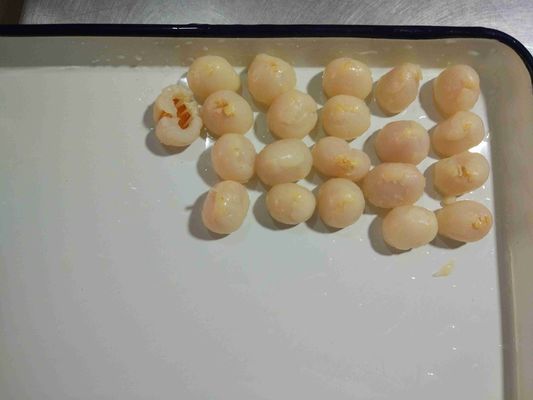15 onces réduisent en sirop conserve de fruits litchi de culture de GMO de conservation