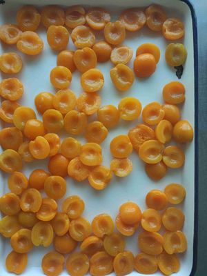 La culture de GMO divise en deux les conserves de mise en boîte d'abricots dans l'eau